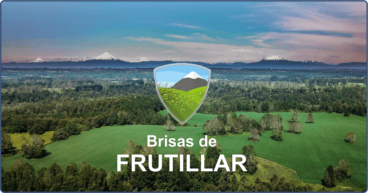 Brisas de Frutillar