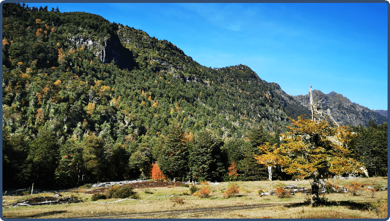 Rinconada de Pucon