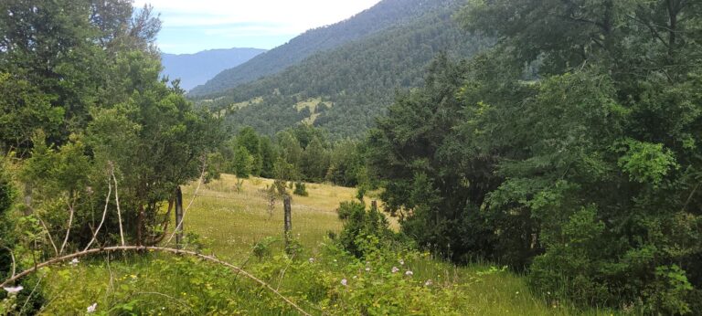 ¡Encantador Campo en Pucón!