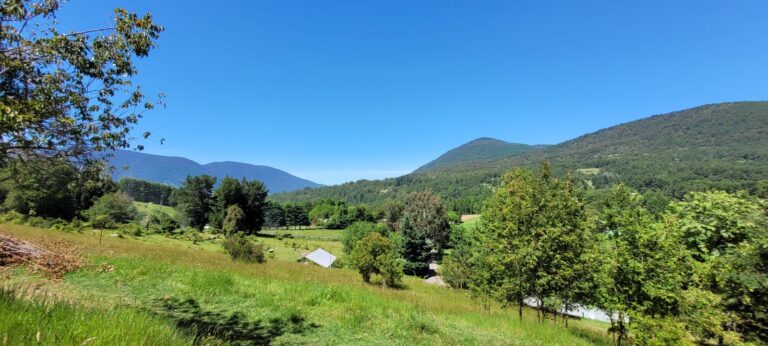 Parcela Caburgua – Paillaco