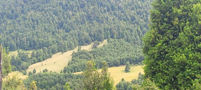 ¡Encantador Campo en Pucón!