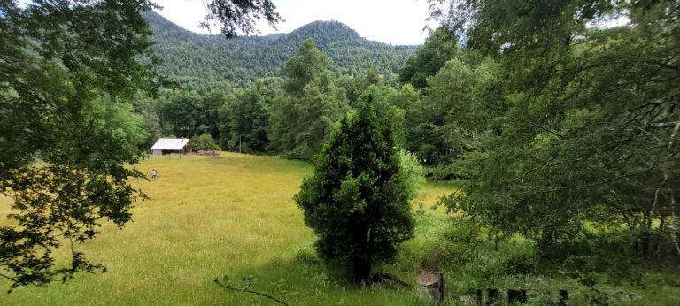 ¡Encantador Campo en Pucón!