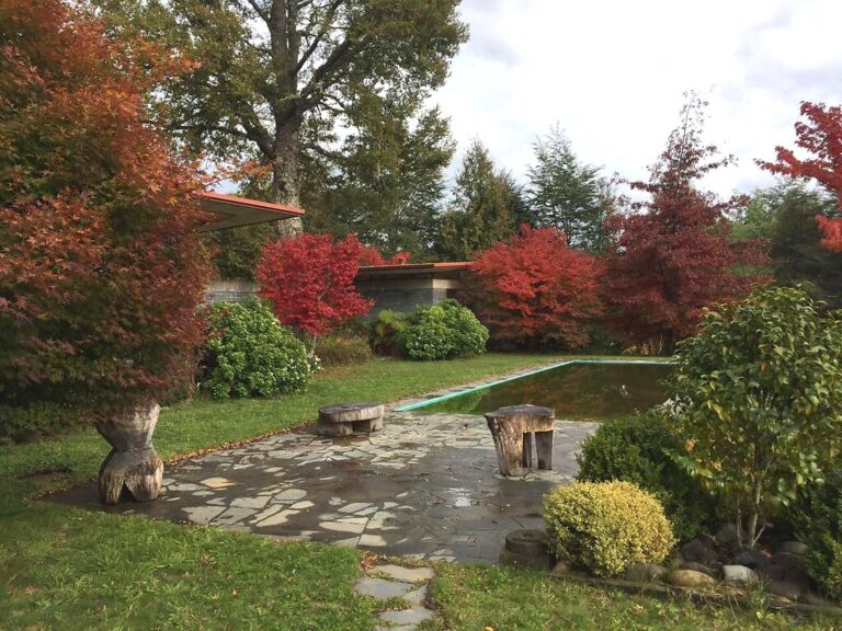 Pucón, preciosa casa en condominio a 10 mins de Pucón - 02 casa condominio rio trancura pucon piscina jardin
