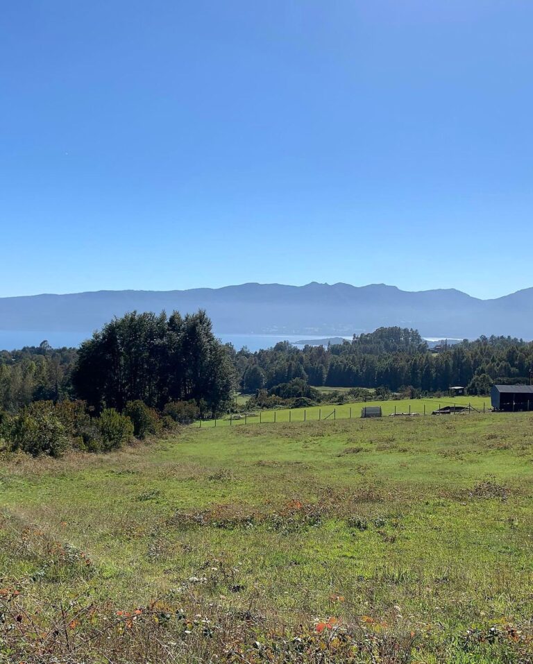 Pucón, parcela con vistas panorámicas - 02 parcela los riscos pucon vista panoramica lago cordillera 2