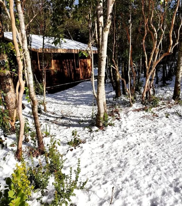 Tres casas en venta en Caburgua — Parcela de 5.000 m² - 07 casas caburgua lago cabana nieve