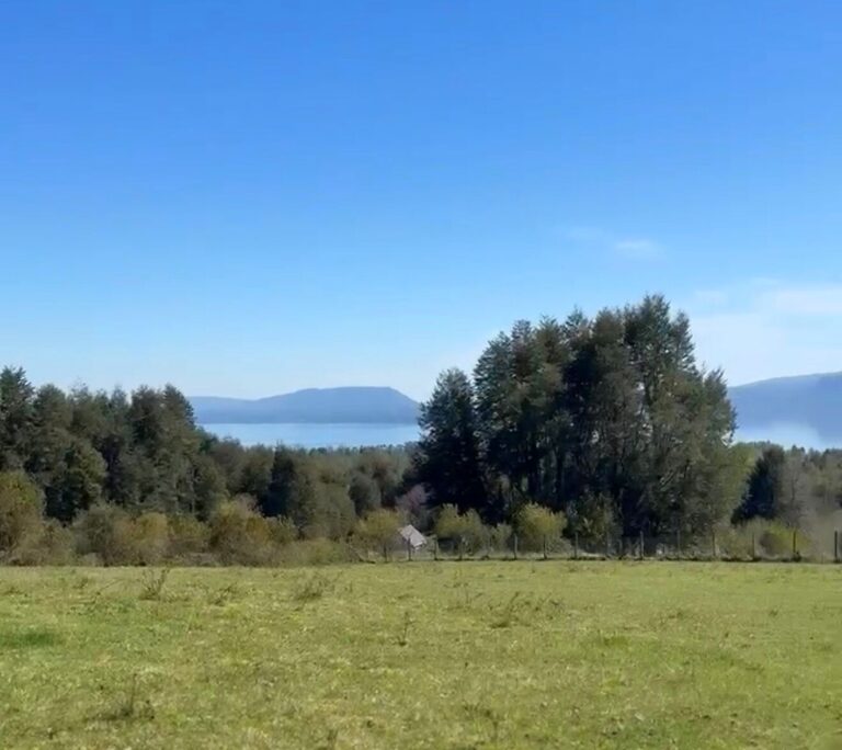 Pucón, parcela con vistas panorámicas - 07 parcela los riscos pucon vista lago villarrica 1