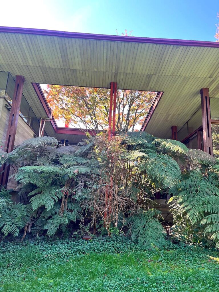 Pucón, preciosa casa en condominio a 10 mins de Pucón - 09 casa condominio rio trancura pucon entrada detalle