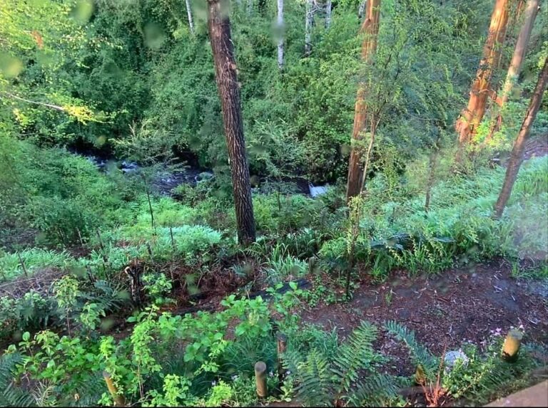 Venta de cómoda y acogedora casa en parcela - 09 casa domo geodesico pucon estero bosque