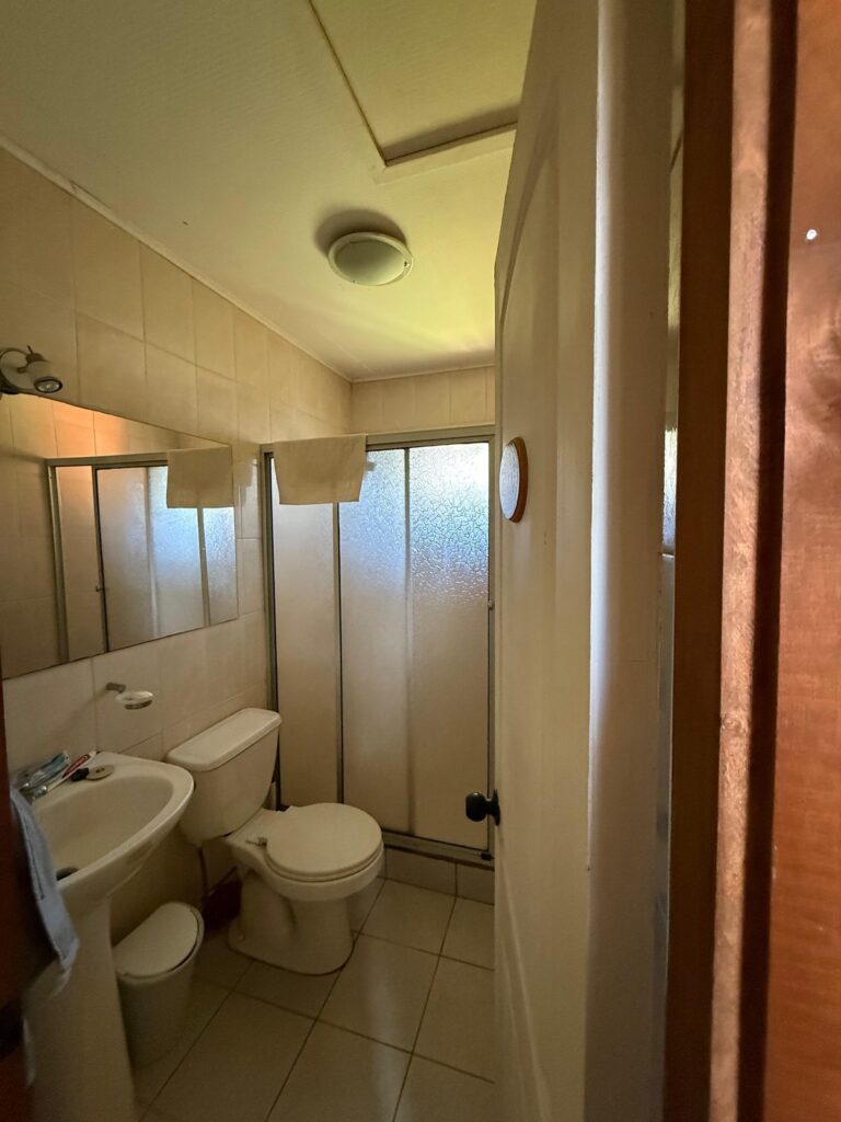 Parcela con casa en Pucón, 2.500 m² con piscina y vista al volcán - 09 parcela casa pucon bano 1