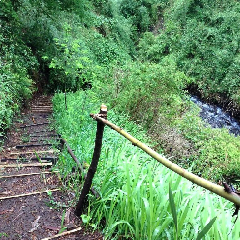 Venta de cómoda y acogedora casa en parcela - 10 casa domo geodesico pucon sendero estero