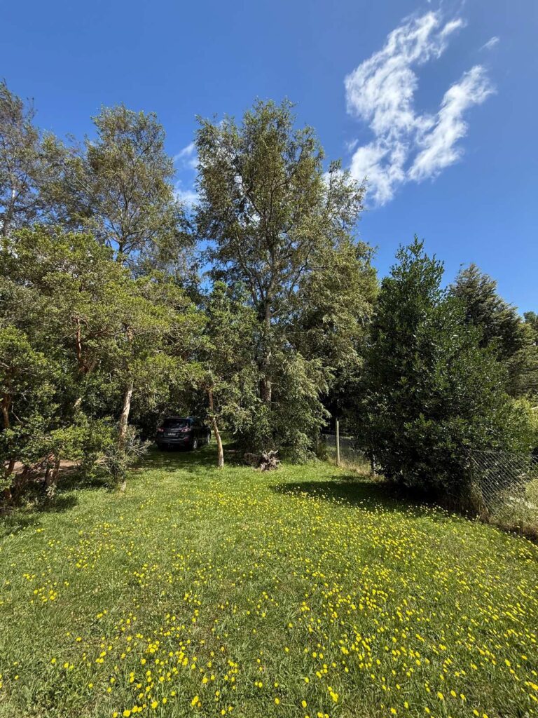Parcela con casa en Pucón, 2.500 m² con piscina y vista al volcán - 15 parcela casa pucon jardin acceso