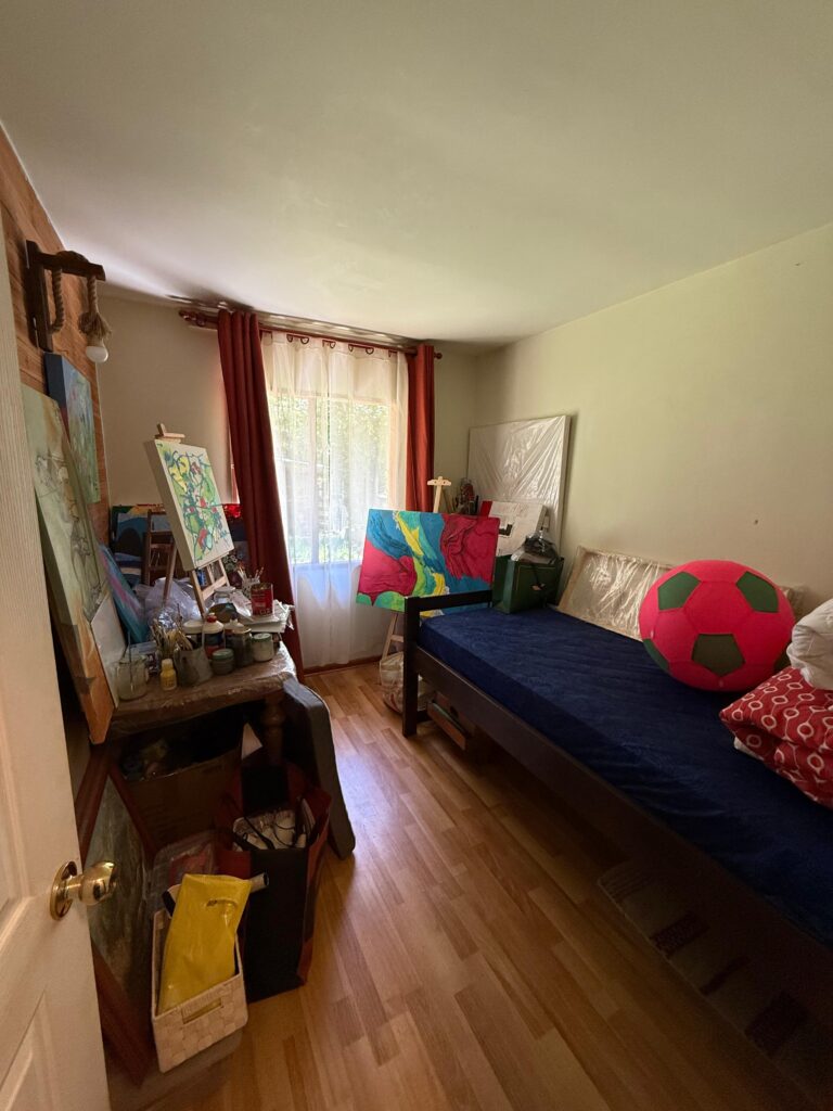 Parcela con Casa Camino a Caburgua - 15 parcela orilla rio liucura con casa