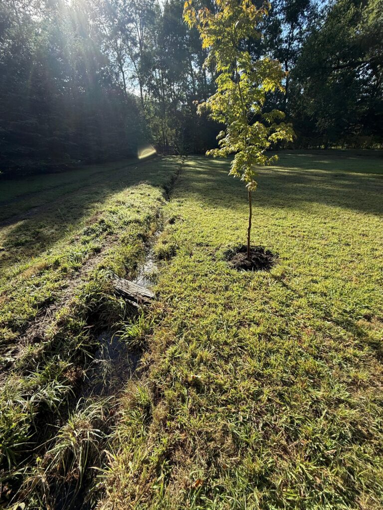 Pucón, camino Caburgua, linda casa en parcela - 20 Parcela ojos de caburgua pucon