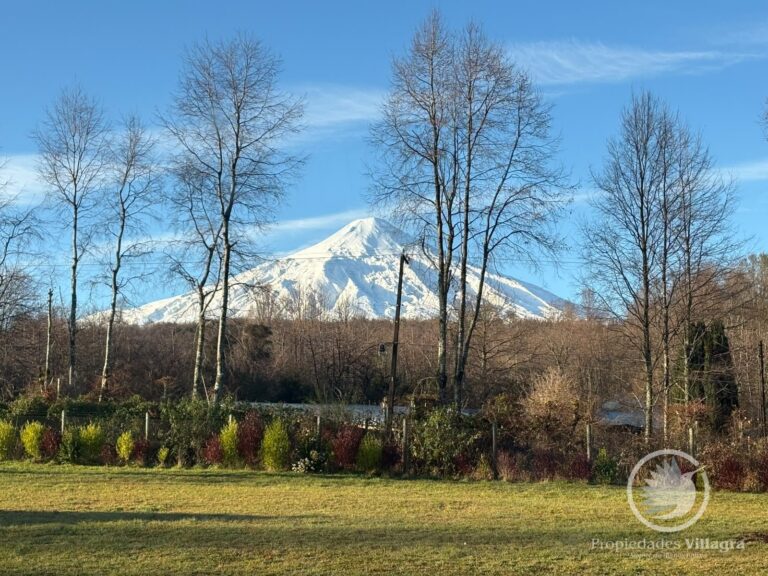 Casa Pucón, condominio Los Riscos (vista Volcán y lago) - Casa pucon los riscos vista volcan lago 04 vista volcan villarrica jardin arbustos