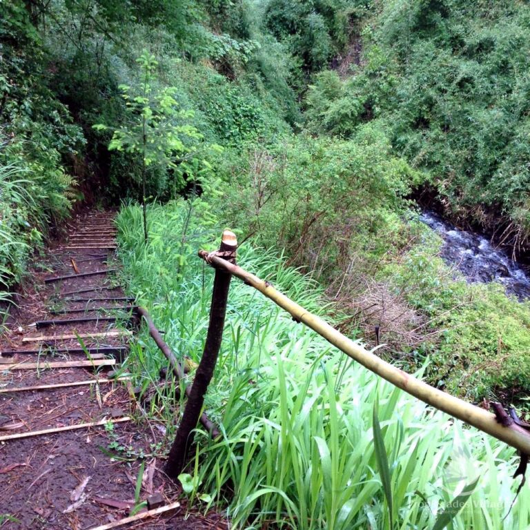 Venta de cómoda y acogedora casa en parcela - Casa pucon parcela 05 estero sendero bosque nativo