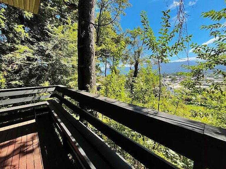 Departamento amoblado con terraza y vista al bosque - Departamento 2d2b pucon altavista bosque 20 vista panoramica lago bosque desde quincho