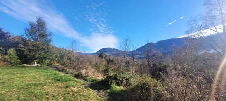 Parcela plana con lomajes en Condominio Altos del Huife - Parcela altos del huife 05 prado verde montanas