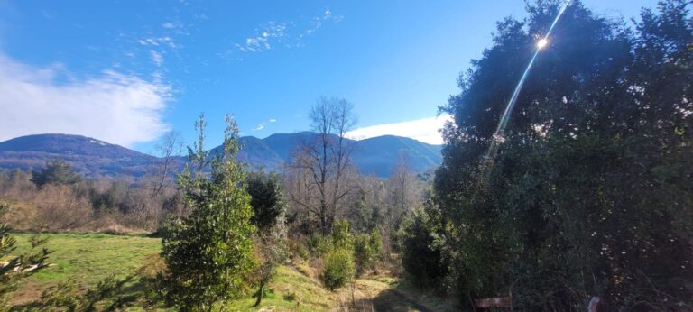 Parcela plana con lomajes en Condominio Altos del Huife - Parcela altos del huife 06 vista panoramica con sol
