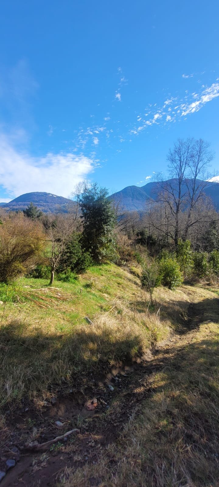Parcela plana con lomajes en Condominio Altos del Huife - Parcela altos del huife 07 prado cordillera soleado