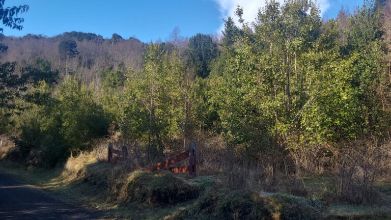 Parcela plana con lomajes en Condominio Altos del Huife - Parcela altos del huife 13 portal rustico camino interior