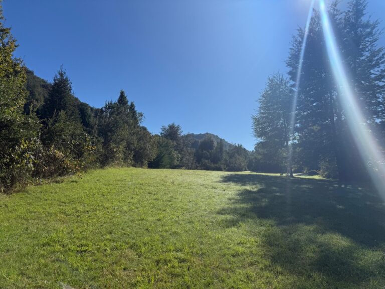 Parcela plana de 5.000 m² con vertiente en Caburgua - Parcela caburgua 5000m2 vertiente 04 vista amplia prado cerro