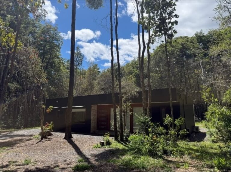 Venta de parcela con acogedora casa en Pucón - Parcela los nevados pucon fachada bosque nativo