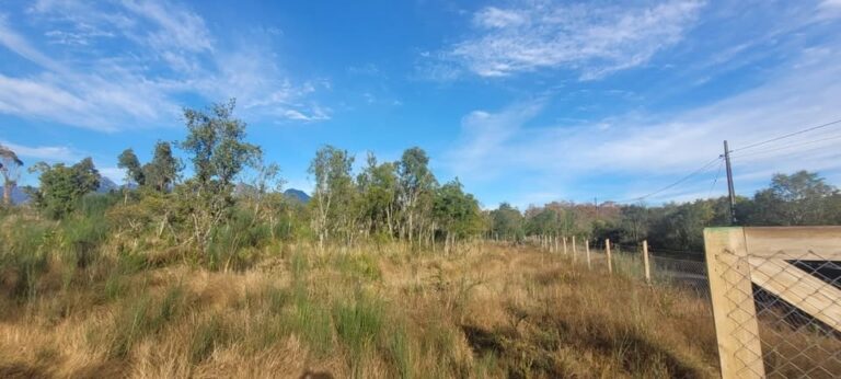 Parcela con vista al volcán, Pucón - Parcela metrenehue pucon terreno plano