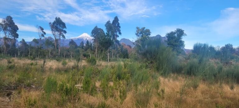 Parcela con vista al volcán, Pucón - Parcela metrenehue pucon vista volcan 3