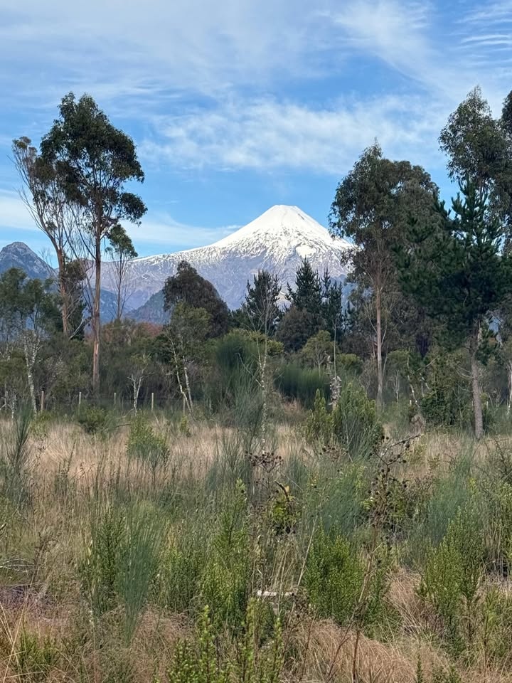 Parcela con vista al volcán, Pucón - Parcela metrenehue pucon vista volcan 5